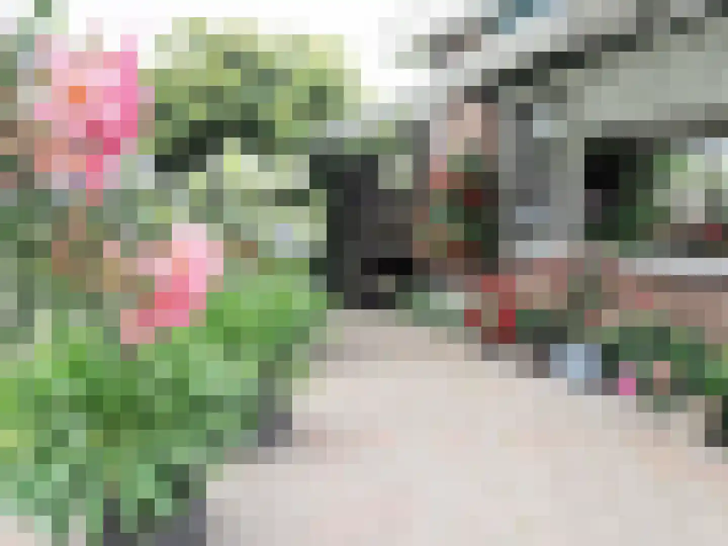 Zuidweg 1 Ouddorp thumbnail 70
