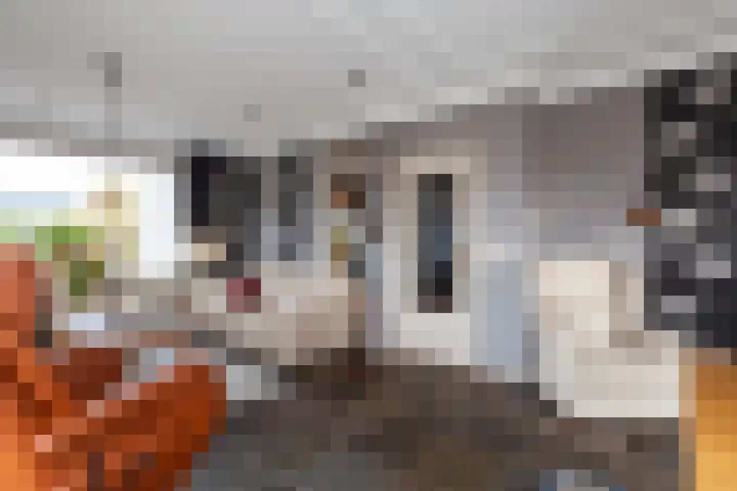 Zuidweg 1 Ouddorp thumbnail 8