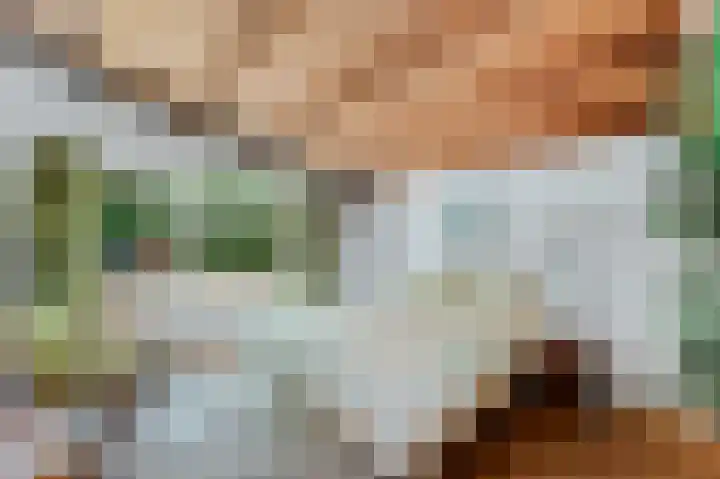 Zuidweg 11 Biggekerke thumbnail 17