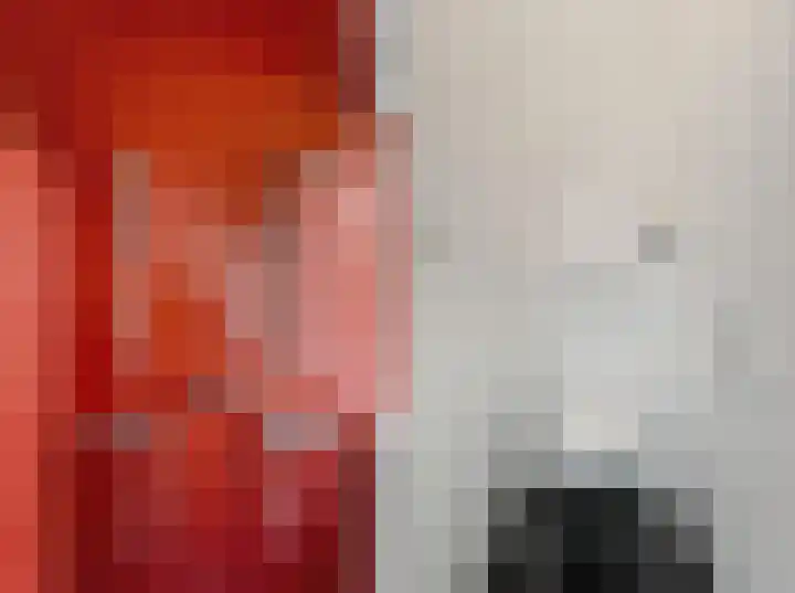 Zuidweg 11 Biggekerke thumbnail 23