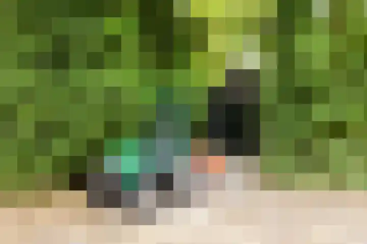 Zuidweg 11 Biggekerke thumbnail 26