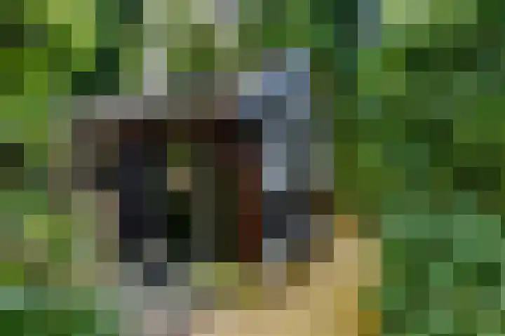 Zuidweg 11 Biggekerke thumbnail 27