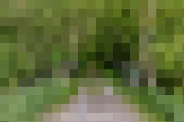 Zuidweg 11 Biggekerke thumbnail 32