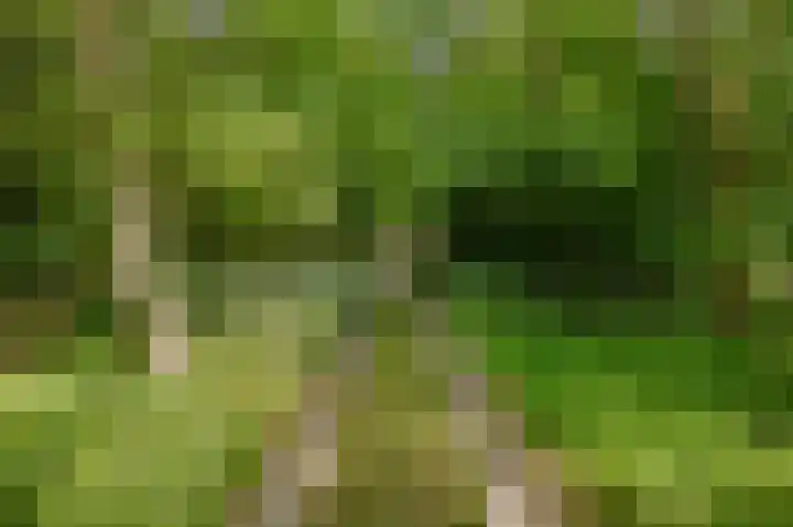 Zuidweg 11 Biggekerke thumbnail 33