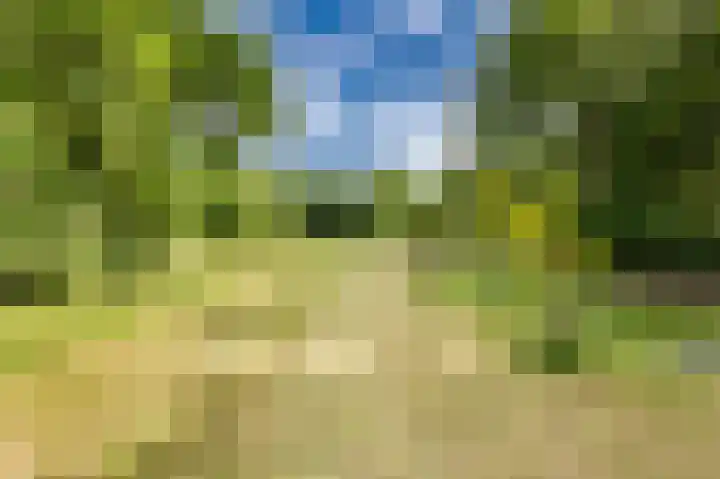Zuidweg 11 Biggekerke thumbnail 34