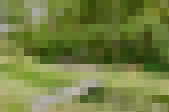 Zuidweg 11 Biggekerke thumbnail 35