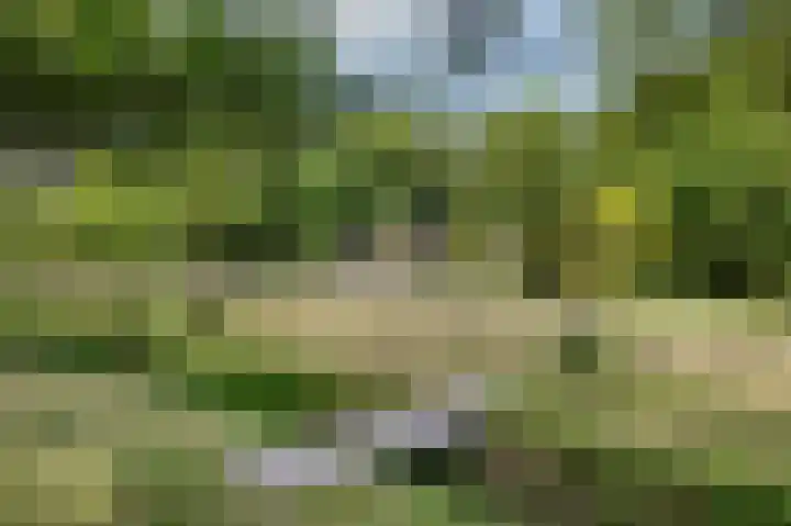 Zuidweg 11 Biggekerke thumbnail 36