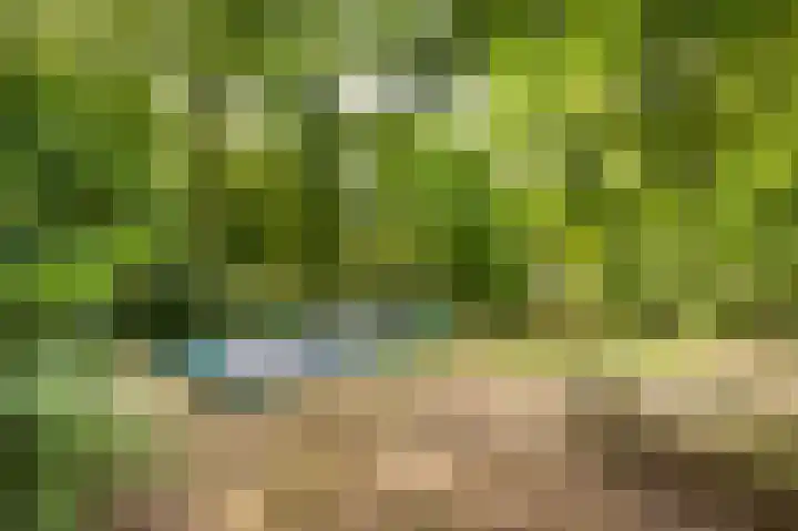 Zuidweg 11 Biggekerke thumbnail 37