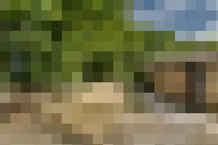 Zuidweg 11 Biggekerke thumbnail 38