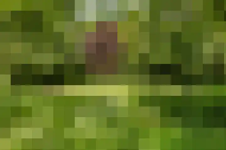 Zuidweg 11 Biggekerke thumbnail 39