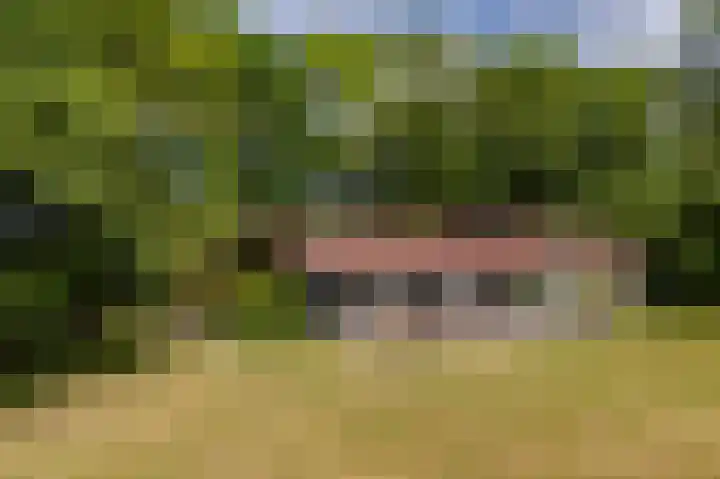 Zuidweg 11 Biggekerke thumbnail 4