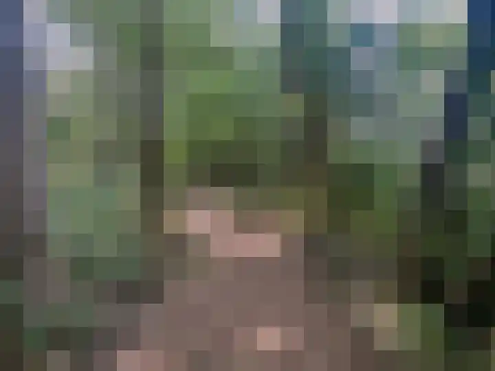 Zuidweg 11 Biggekerke thumbnail 40