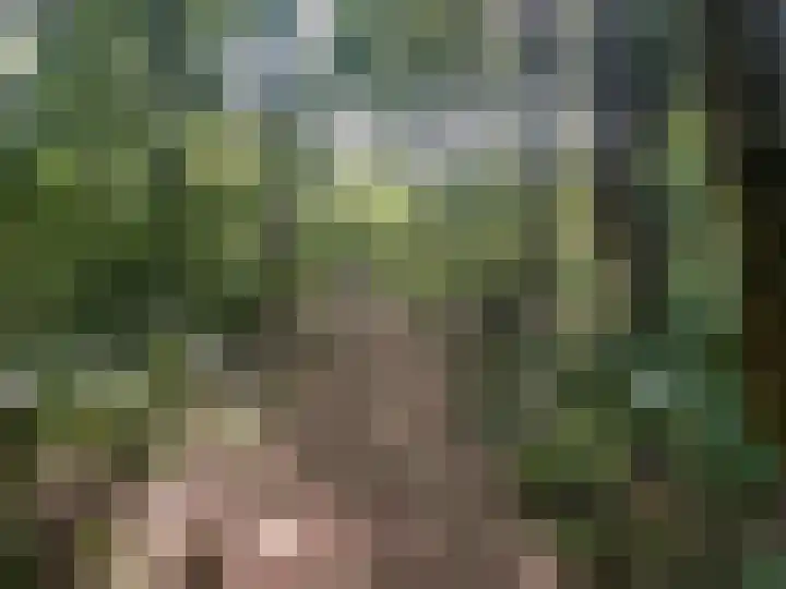 Zuidweg 11 Biggekerke thumbnail 41