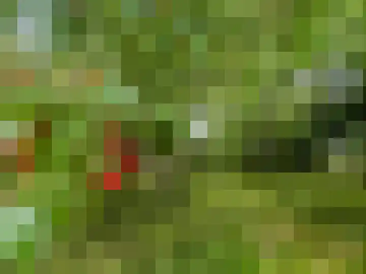Zuidweg 11 Biggekerke thumbnail 42
