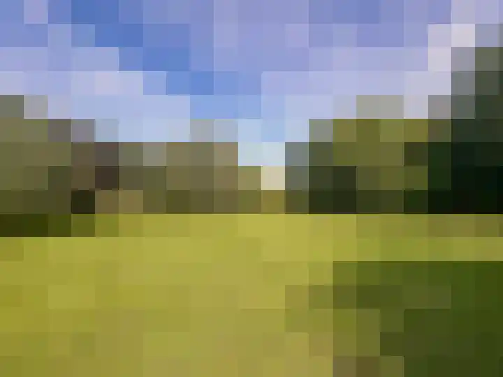 Zuidweg 11 Biggekerke thumbnail 43