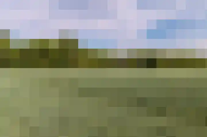 Zuidweg 11 Biggekerke thumbnail 45