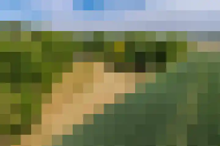 Zuidweg 11 Biggekerke thumbnail 46