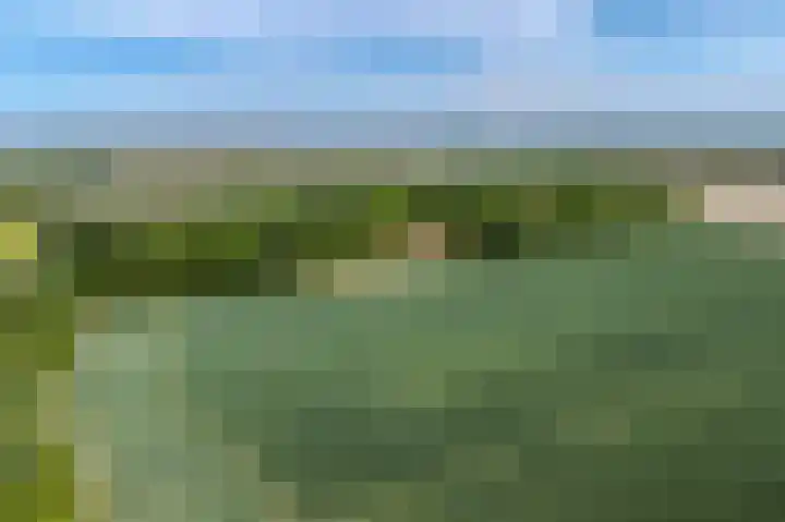 Zuidweg 11 Biggekerke thumbnail 47