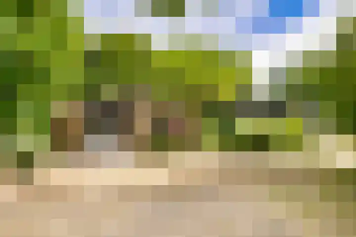 Zuidweg 11 Biggekerke thumbnail 5