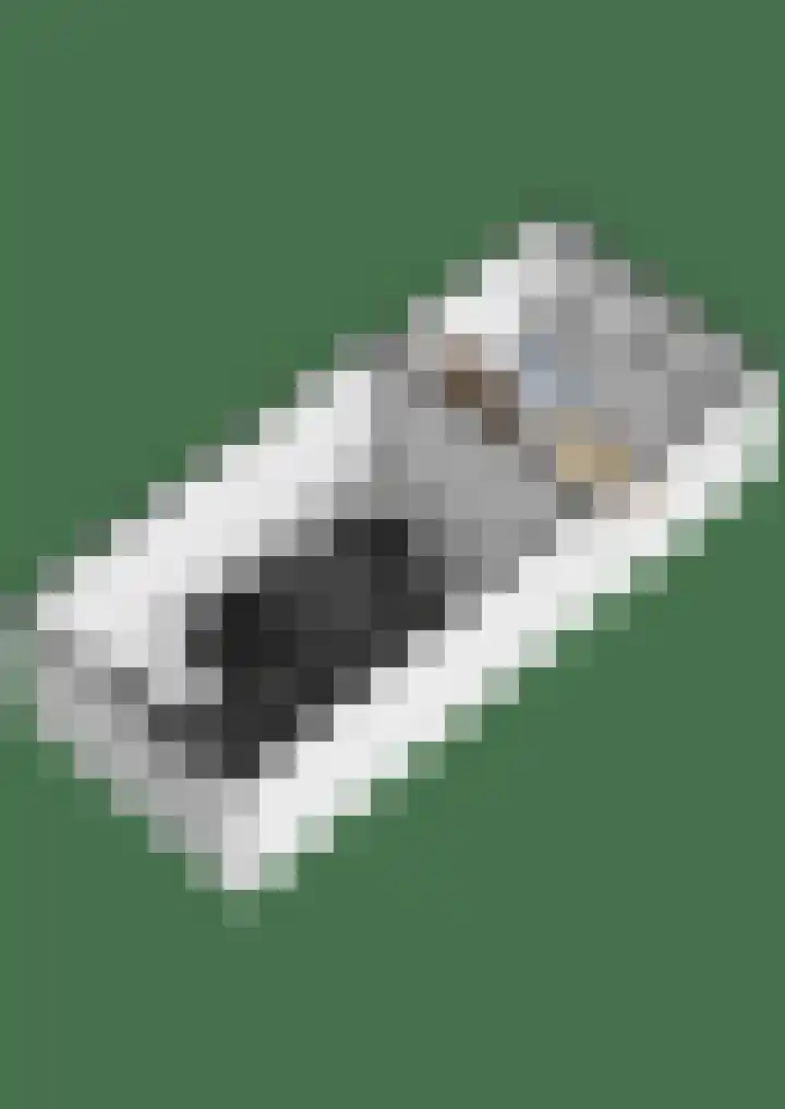 Zuidweg 11 Biggekerke thumbnail 52