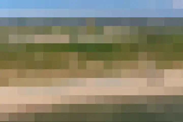 Zuidweg 11 Biggekerke thumbnail 55