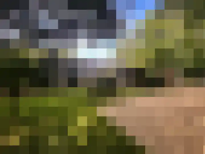 Zuidweg 11 Biggekerke thumbnail 6