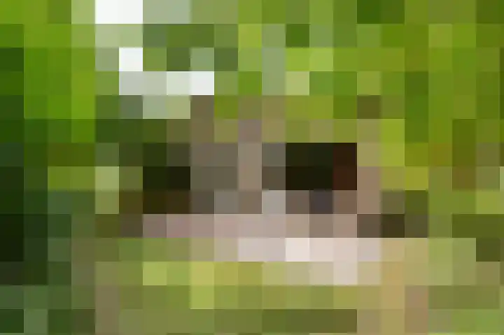 Zuidweg 11 Biggekerke thumbnail 7