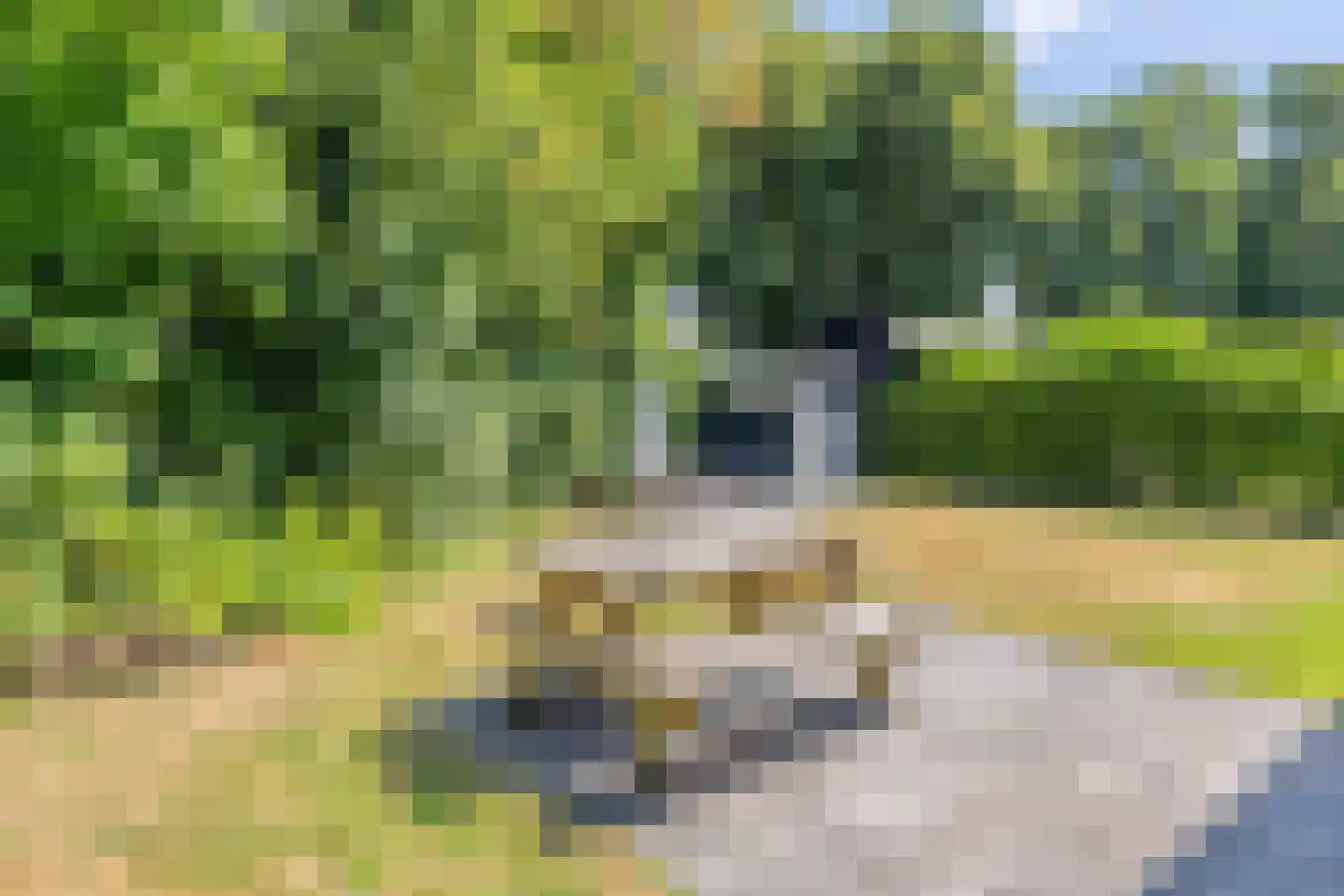 Zuidweg 18 17 Zonnemaire thumbnail 24