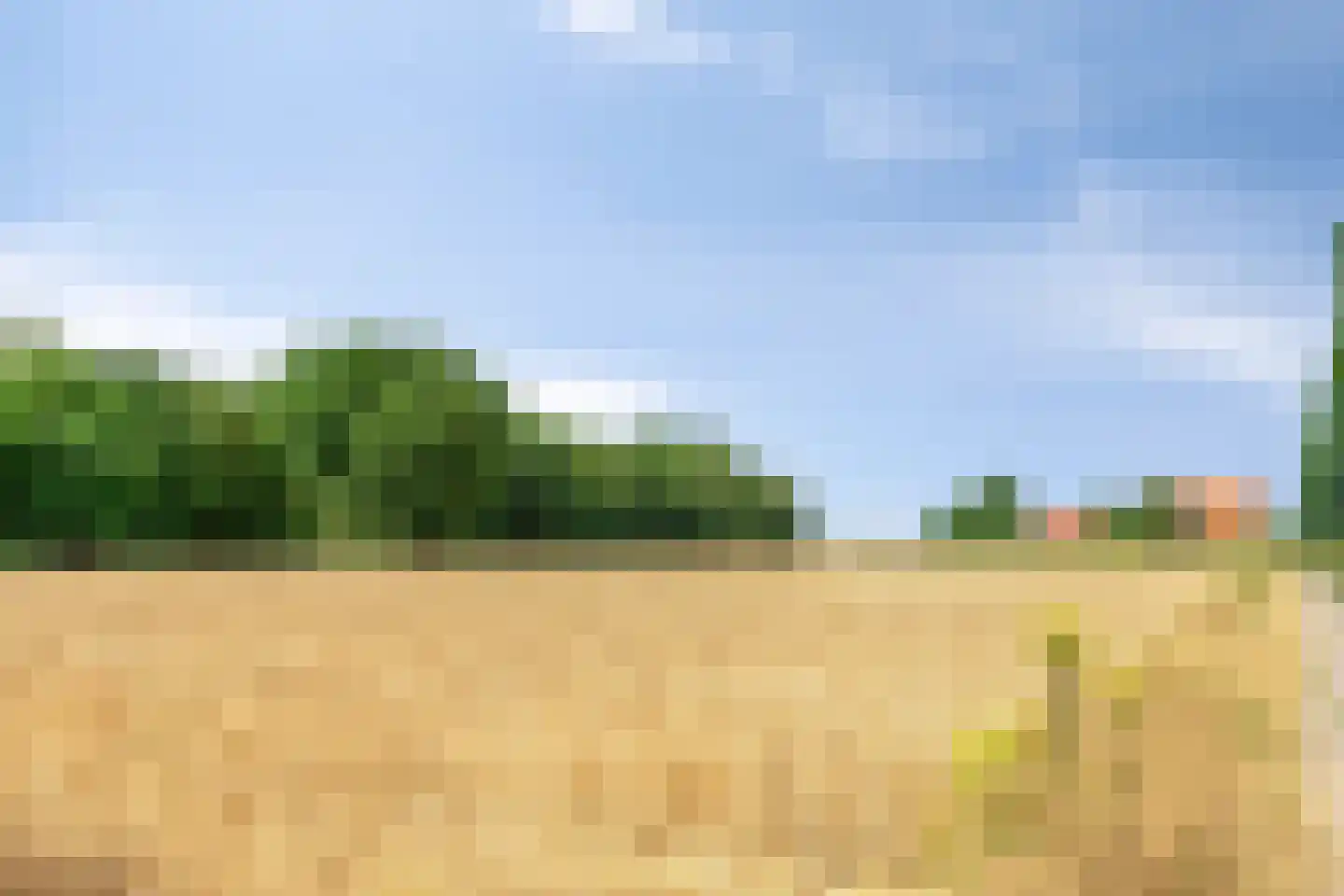 Zuidweg 18 17 Zonnemaire thumbnail 27