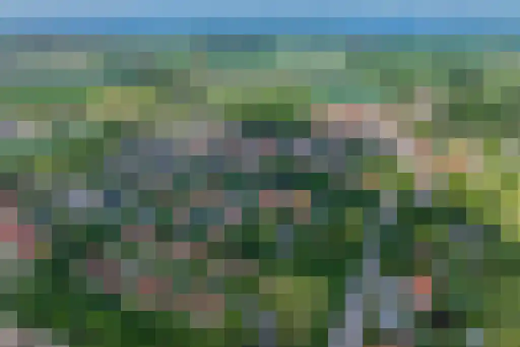Zuidweg 18 17 Zonnemaire thumbnail 29