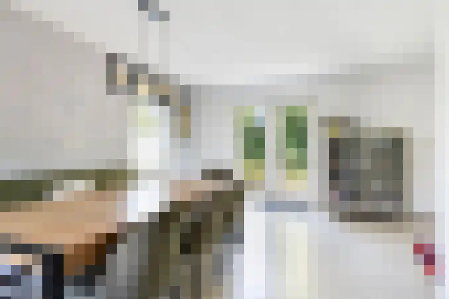 Zuidweg 18 17 Zonnemaire thumbnail 9