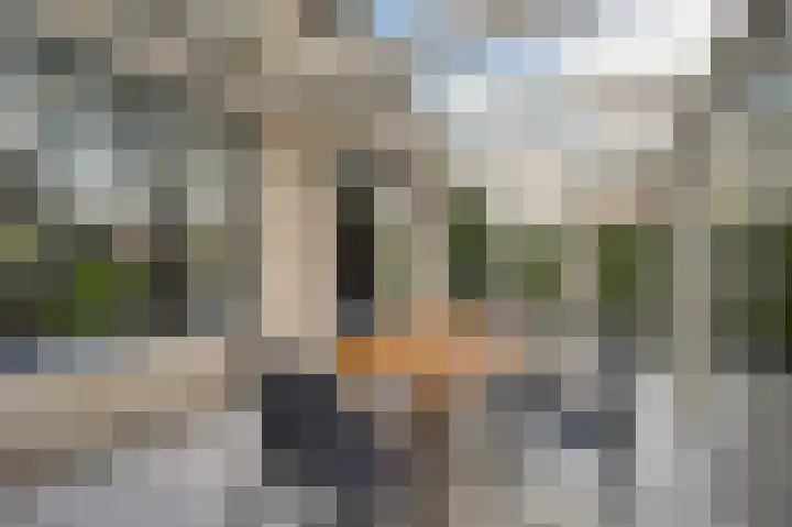 Zuidweg 31 Naaldwijk thumbnail 15