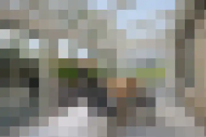 Zuidweg 31 Naaldwijk thumbnail 16
