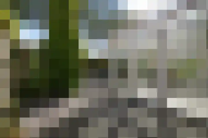 Zuidweg 31 Naaldwijk thumbnail 18