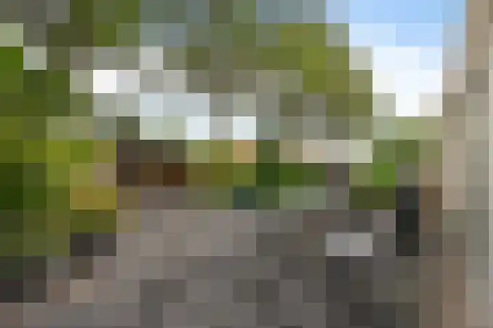 Zuidweg 31 Naaldwijk thumbnail 21