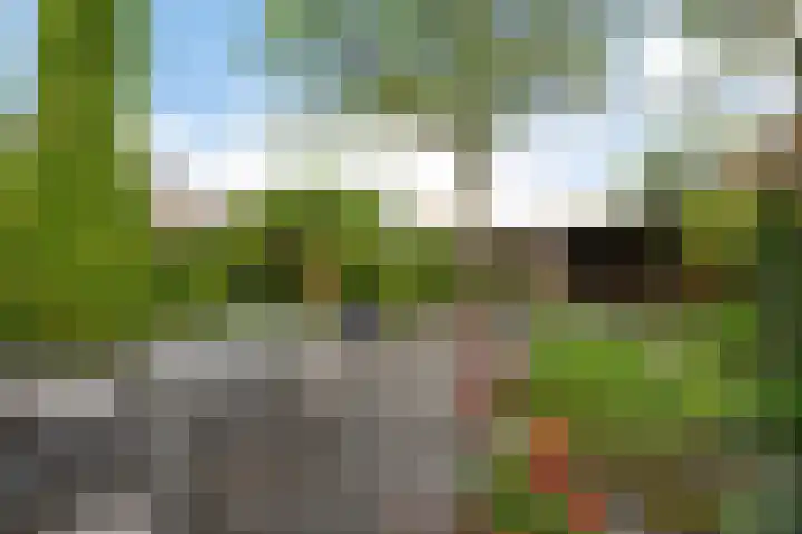 Zuidweg 31 Naaldwijk thumbnail 22