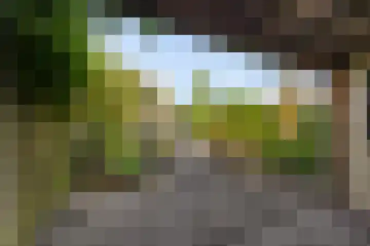 Zuidweg 31 Naaldwijk thumbnail 23