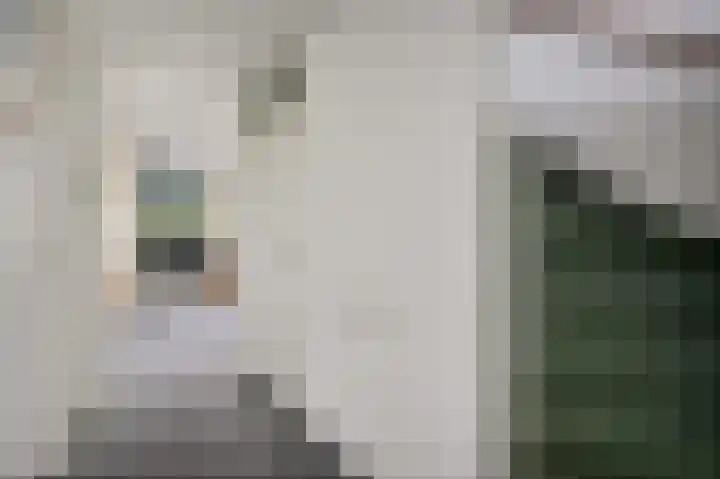 Zuidweg 31 Naaldwijk thumbnail 26