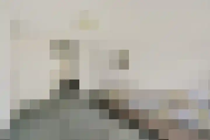 Zuidweg 31 Naaldwijk thumbnail 30