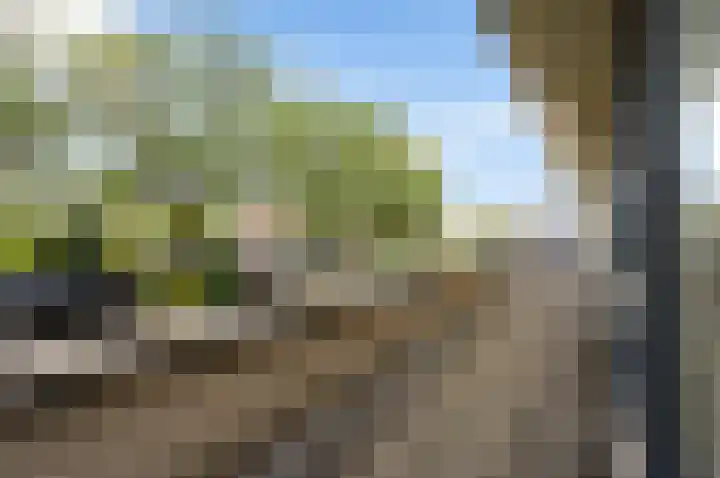 Zuidweg 31 Naaldwijk thumbnail 31
