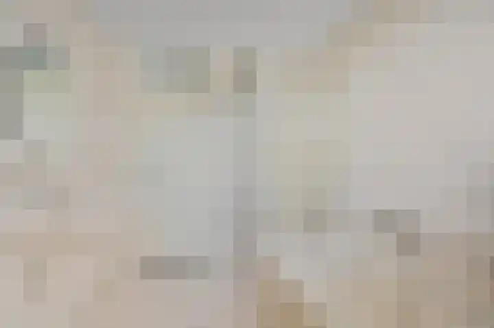Zuidweg 31 Naaldwijk thumbnail 32