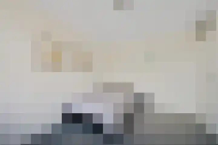 Zuidweg 31 Naaldwijk thumbnail 34
