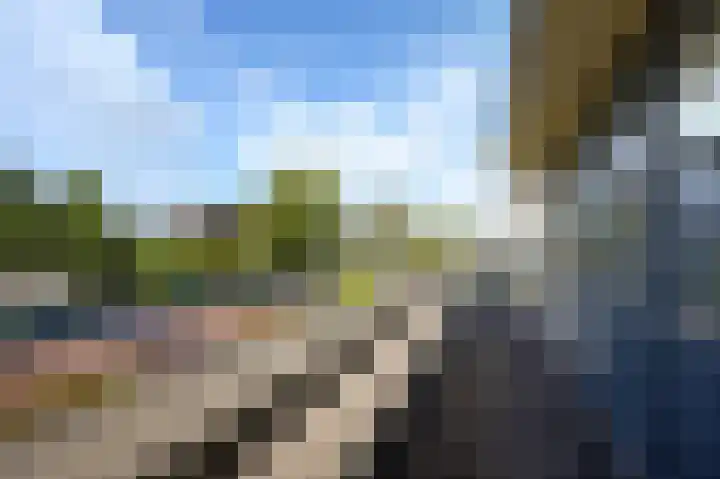 Zuidweg 31 Naaldwijk thumbnail 35