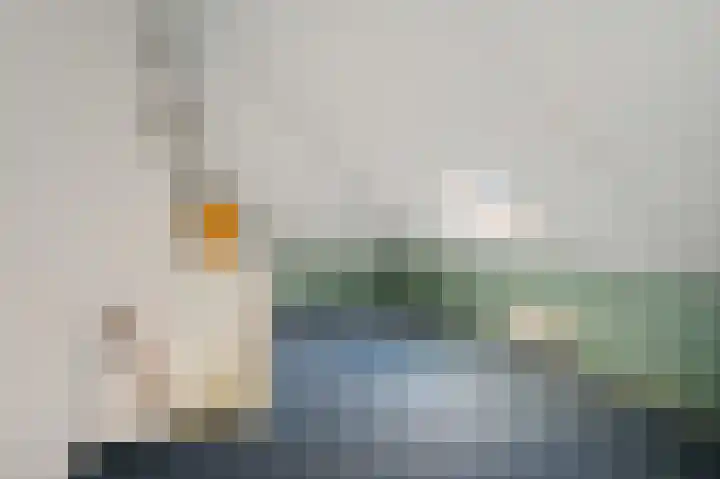 Zuidweg 31 Naaldwijk thumbnail 37