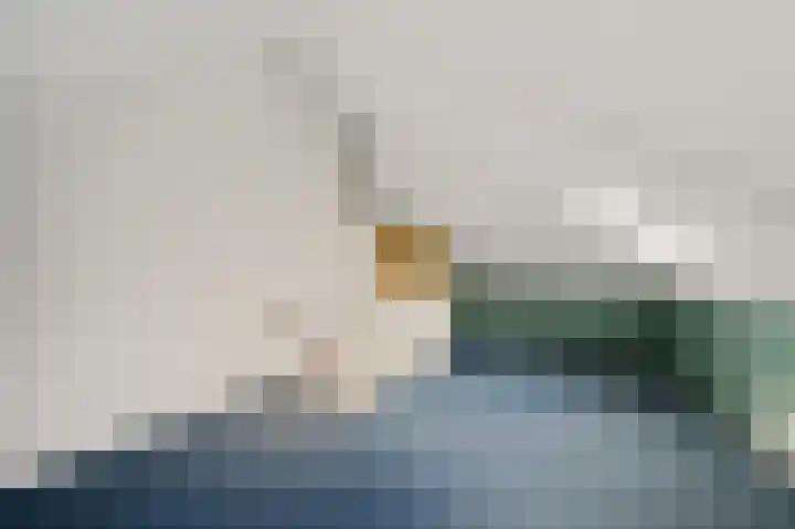 Zuidweg 31 Naaldwijk thumbnail 38