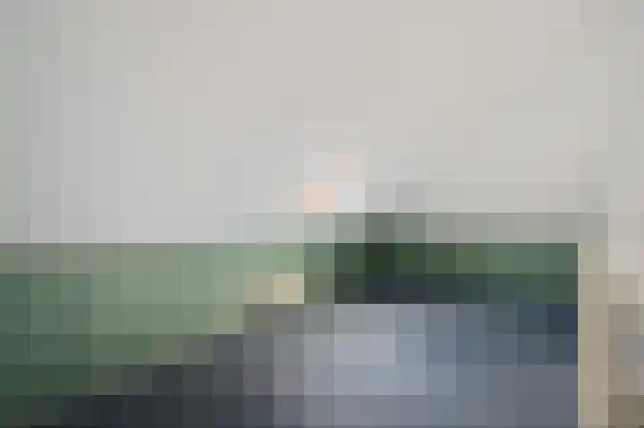 Zuidweg 31 Naaldwijk thumbnail 39