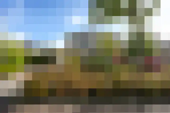 Zuidweg 31 Naaldwijk thumbnail 41