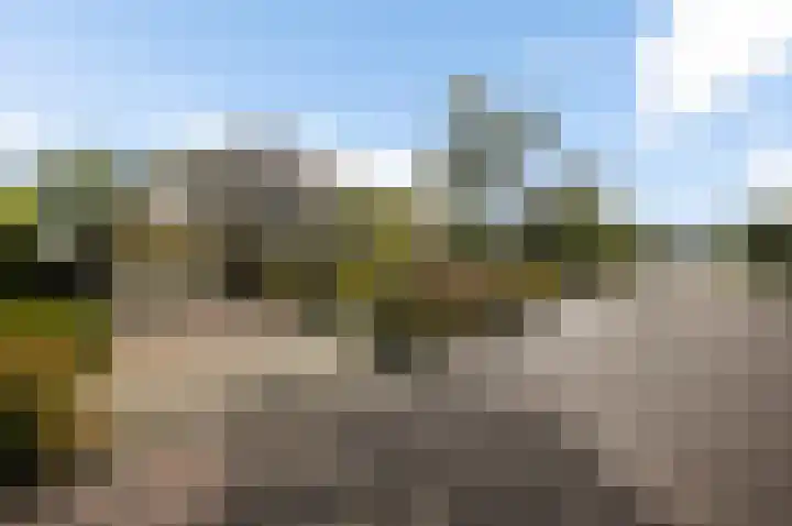 Zuidweg 31 Naaldwijk thumbnail 42