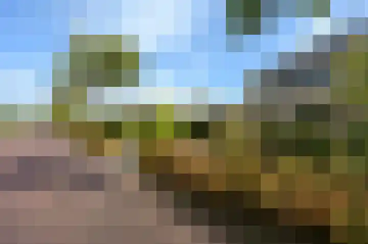 Zuidweg 31 Naaldwijk thumbnail 43