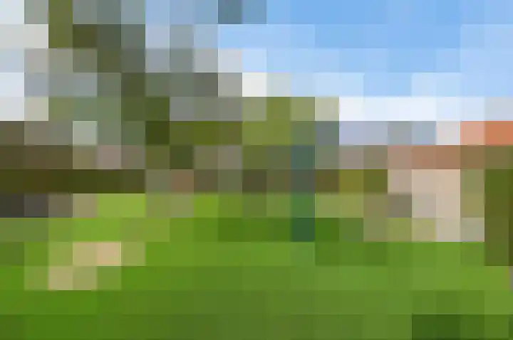 Zuidweg 31 Naaldwijk thumbnail 45